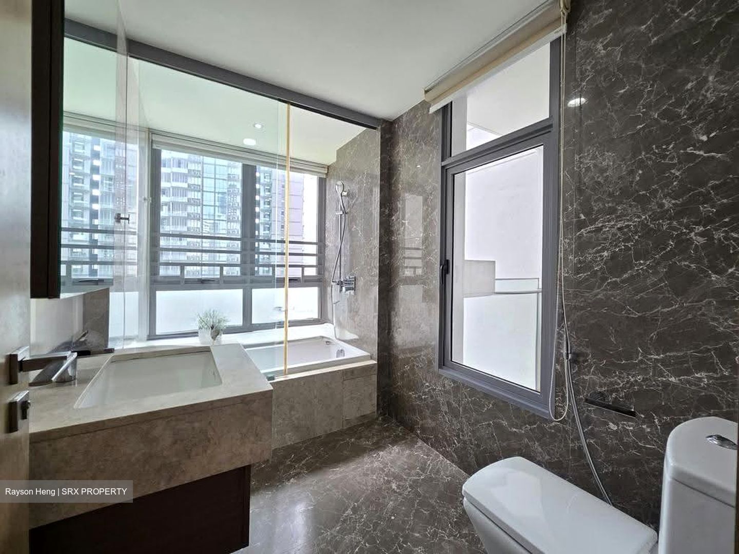 Starlight Suites (D9), Apartment #638692771